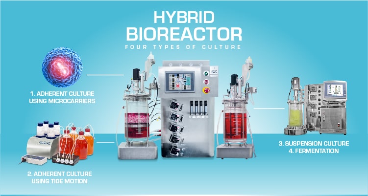 VXL™ Hybrid Biroeactor